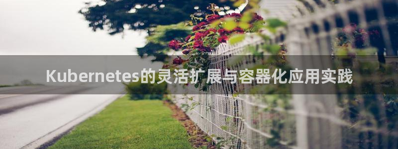 好彩运体育平台总代理：Kubernetes的灵活扩展与容器化应用实践
