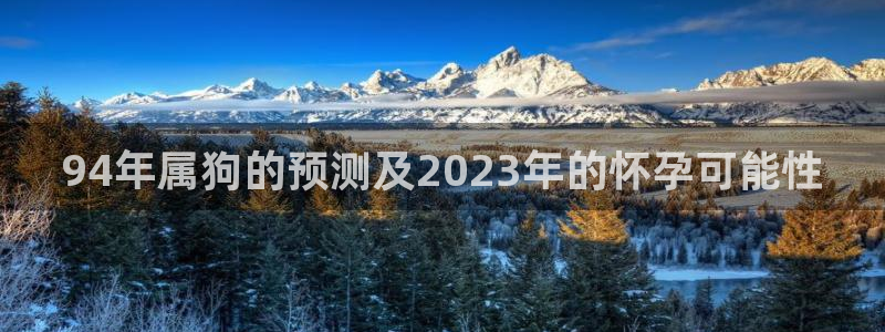 德国好彩运集团：94年属狗的预测及2023年的怀孕可能性
