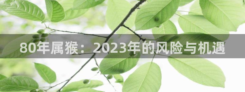 好彩运3官网登录：80年属猴：2023年的风险与机遇