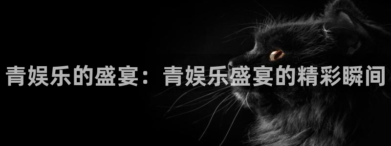 好彩运集团总部：青娱乐的盛宴：青娱乐盛宴的精彩瞬间