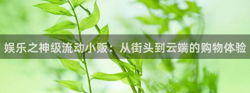 好彩运体育注册登录入口：娱乐之神级流动小贩：从街头到云端的购物体验