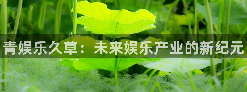 好彩运平台在线开户：青娱乐久草：未来娱乐产业的新纪元