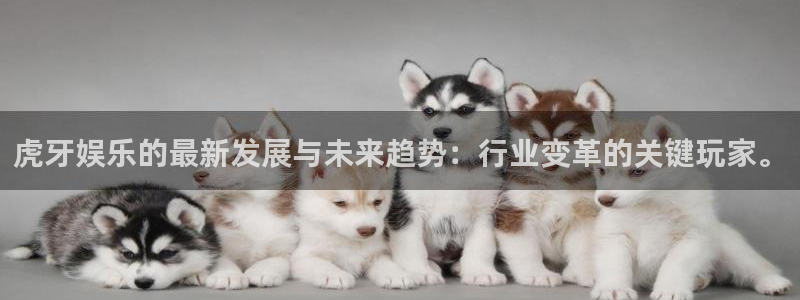 好彩运体育免费注册入口：虎牙娱乐的最新发展与未来趋势：行业变革的关键玩家。