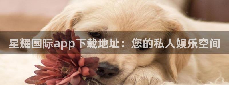 好彩运平台在线注册：星耀国际app下载地址：您的私人娱乐空间