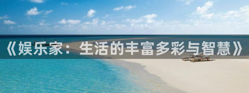 上海好彩运汽车电子有限公司：《娱乐家：生活的丰富多彩与智慧》