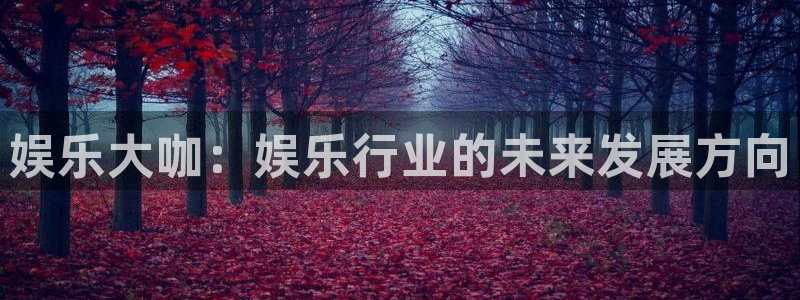 好彩运3平台登录注册：娱乐大咖：娱乐行业的未来发展方向