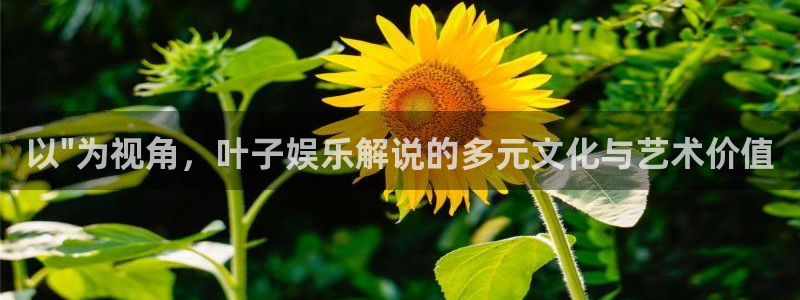 好彩运2官网：以\