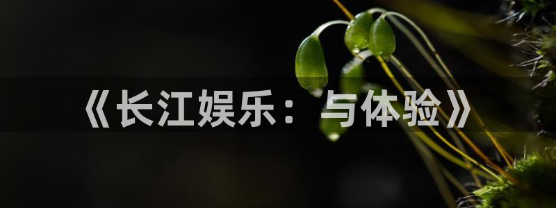 好彩运集团总部：《长江娱乐：与体验》