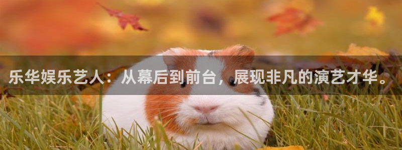 好彩运游戏有哪些好玩的：乐华娱乐艺人：从幕后到前台，展现非凡的演艺才华。