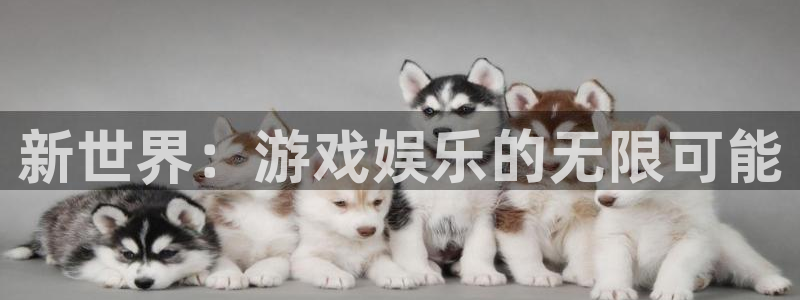 好彩运主管：新世界：游戏娱乐的无限可能