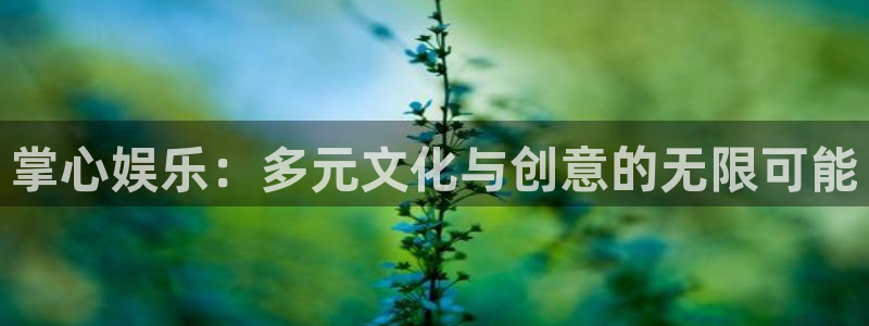 好彩运体育注册平台：掌心娱乐：多元文化与创意的无限可能