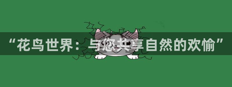好彩运2代理注册：“花鸟世界：与您共享自然的欢愉”