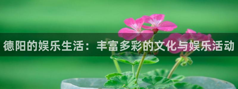 成都好彩运电子有限公司：德阳的娱乐生活：丰富多彩的文化与娱乐活动