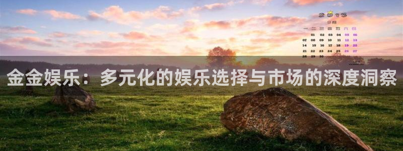 好彩运平台：金金娱乐：多元化的娱乐选择与市场的深度洞察